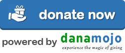 donate now