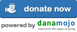 donate now